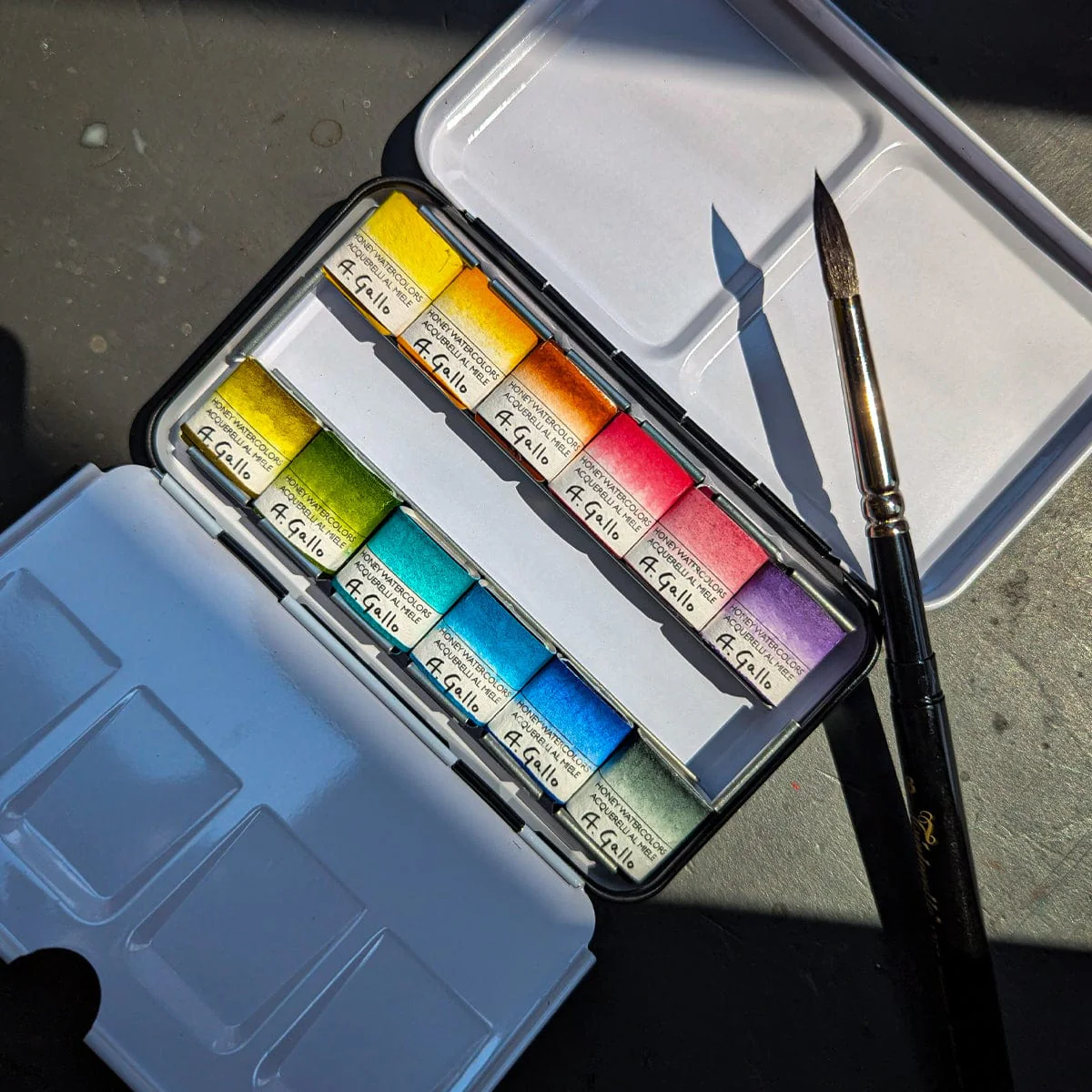 A. Gallo - Handmade Watercolours - Botanical Palette - Set of 12 Half Pans
