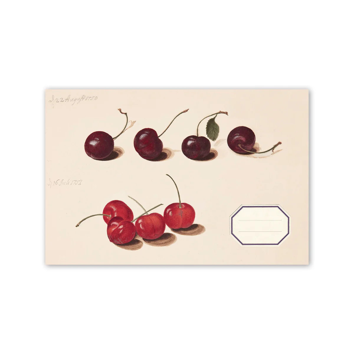 Alibabette - Landscape Artbook - 21x14cm - Les Cerises