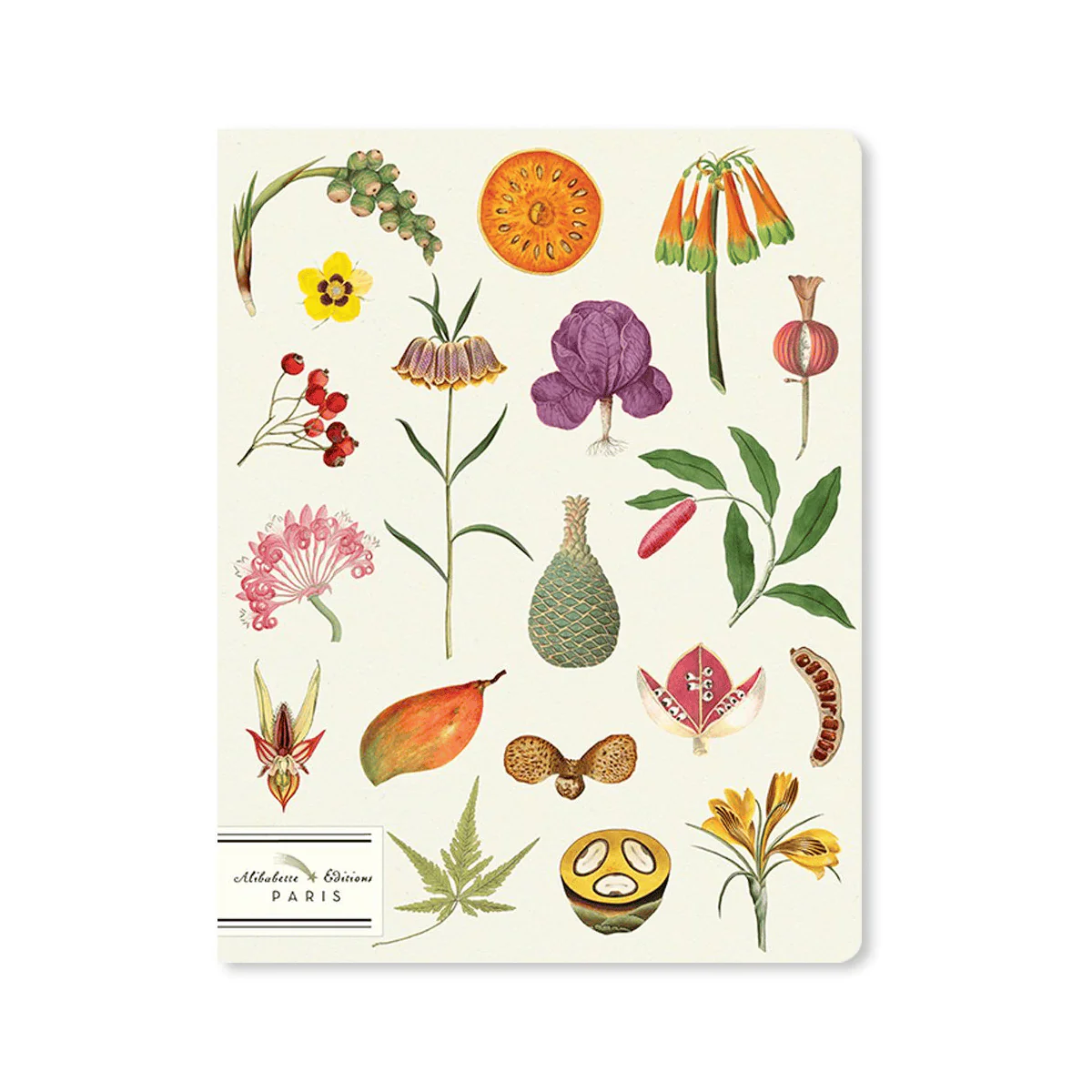Alibabette - Slim Notebook - 17x22cm - Les Superbes
