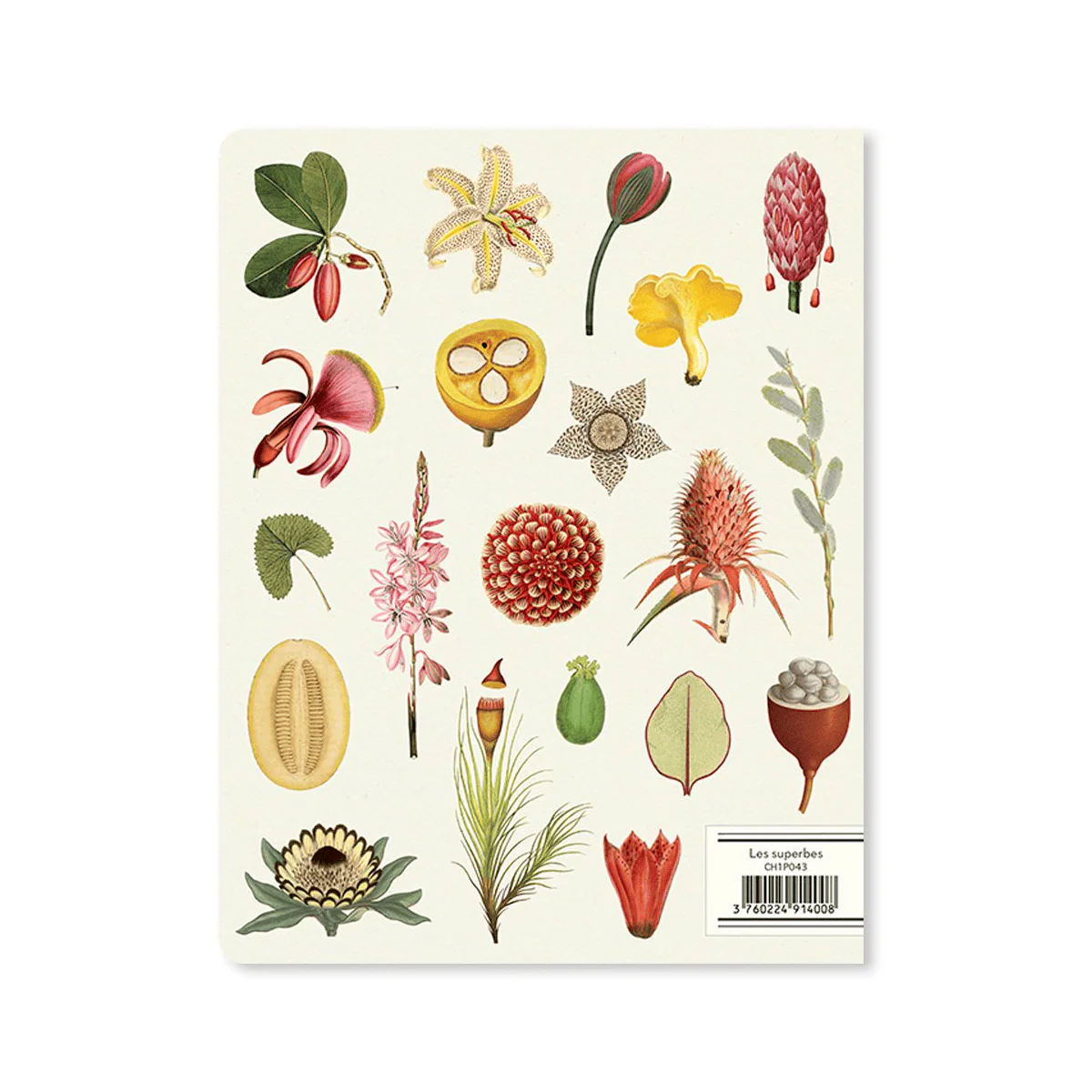 Alibabette - Slim Notebook - 17x22cm - Les Superbes - Image 2