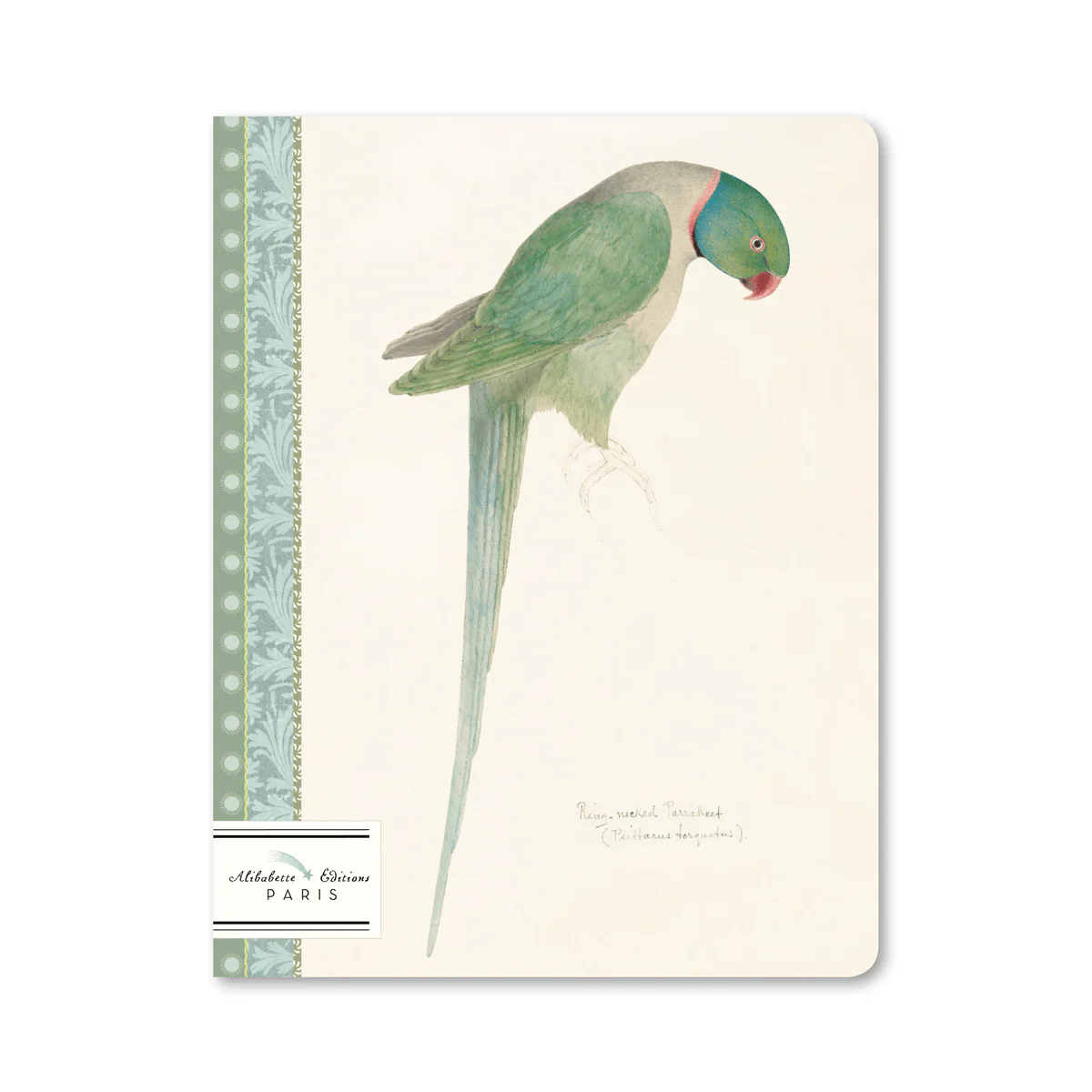 Alibabette - Slim Notebook - 17x22cm - Perruche (Parakeet)
