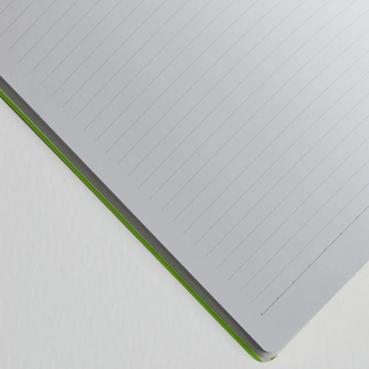 Alibabette - Slim Notebook - 17x22cm - Les Superbes - Image 3