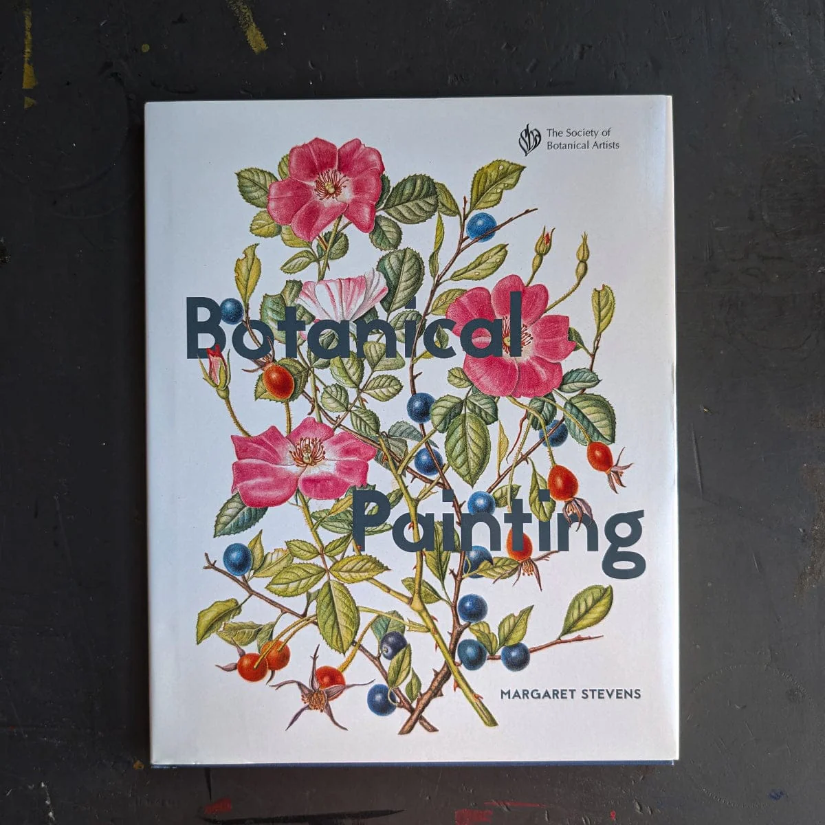Botanical Painting by Margaret Stevens