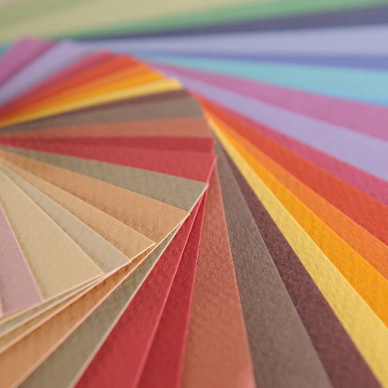Canson - Mi-Teintes - Pastel Paper - 19 x 25" Sheets
