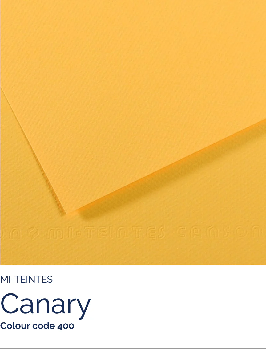 Canson - Mi-Teintes - Pastel Paper - 19 x 25" Sheets - Image 8