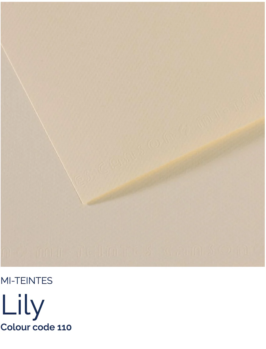 Canson - Mi-Teintes - Pastel Paper - 8.5 x 11" Sheets - Image 28