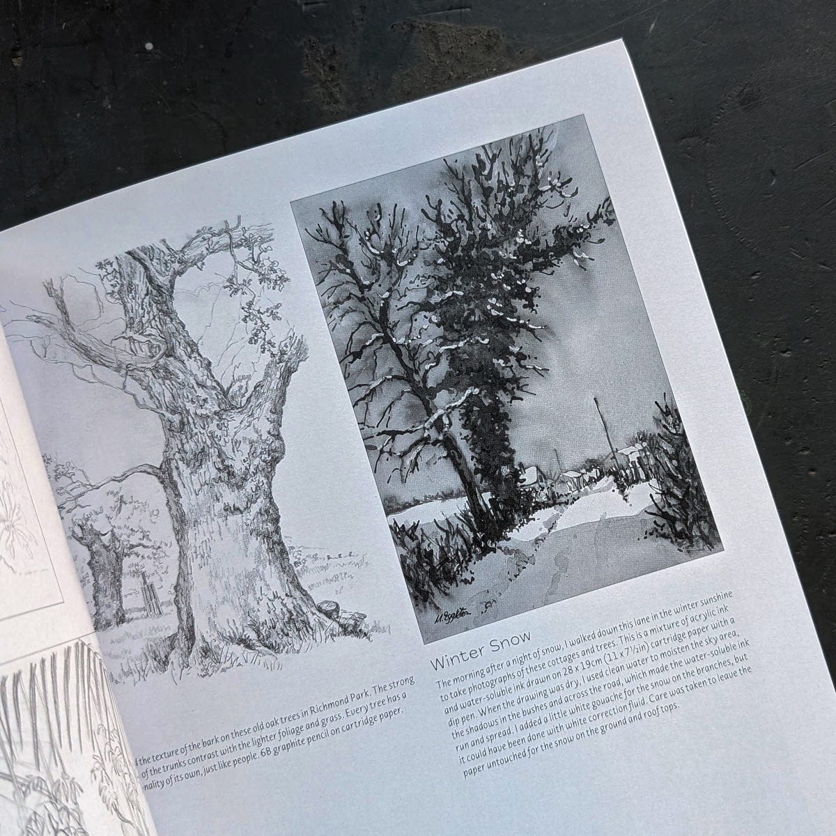 Drawing Landscapes by Margaret Eggleton - Image 3