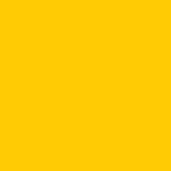 Dylon / Dypro - Multipurpose Dye - 500g Tins - Image 13