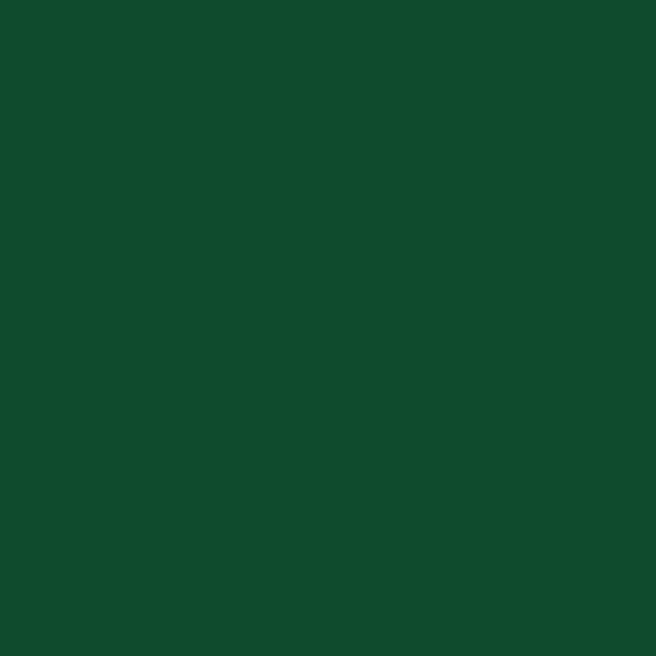 Dylon / Dypro - Multipurpose Dye - 500g Tins - Image 15