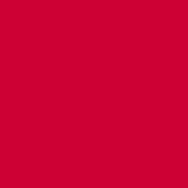 Dylon / Dypro - Multipurpose Dye - 500g Tins - Image 23