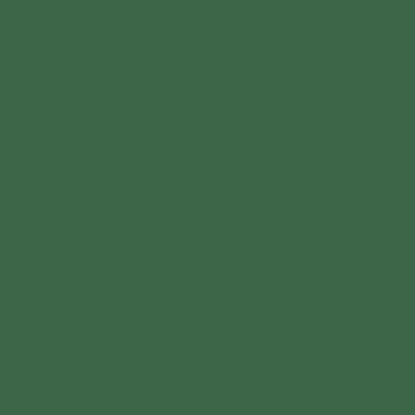 Dylon / Dypro - Multipurpose Dye - 500g Tins - Image 28