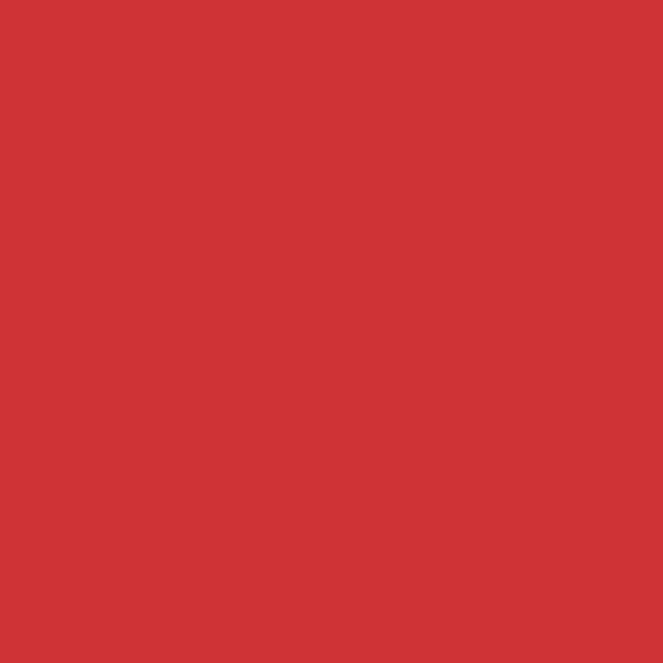 Dylon / Dypro - Multipurpose Dye - 500g Tins - Image 5