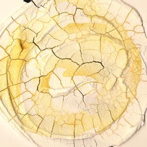 Golden - Crackle Paste - 237mL Jar - Image 2