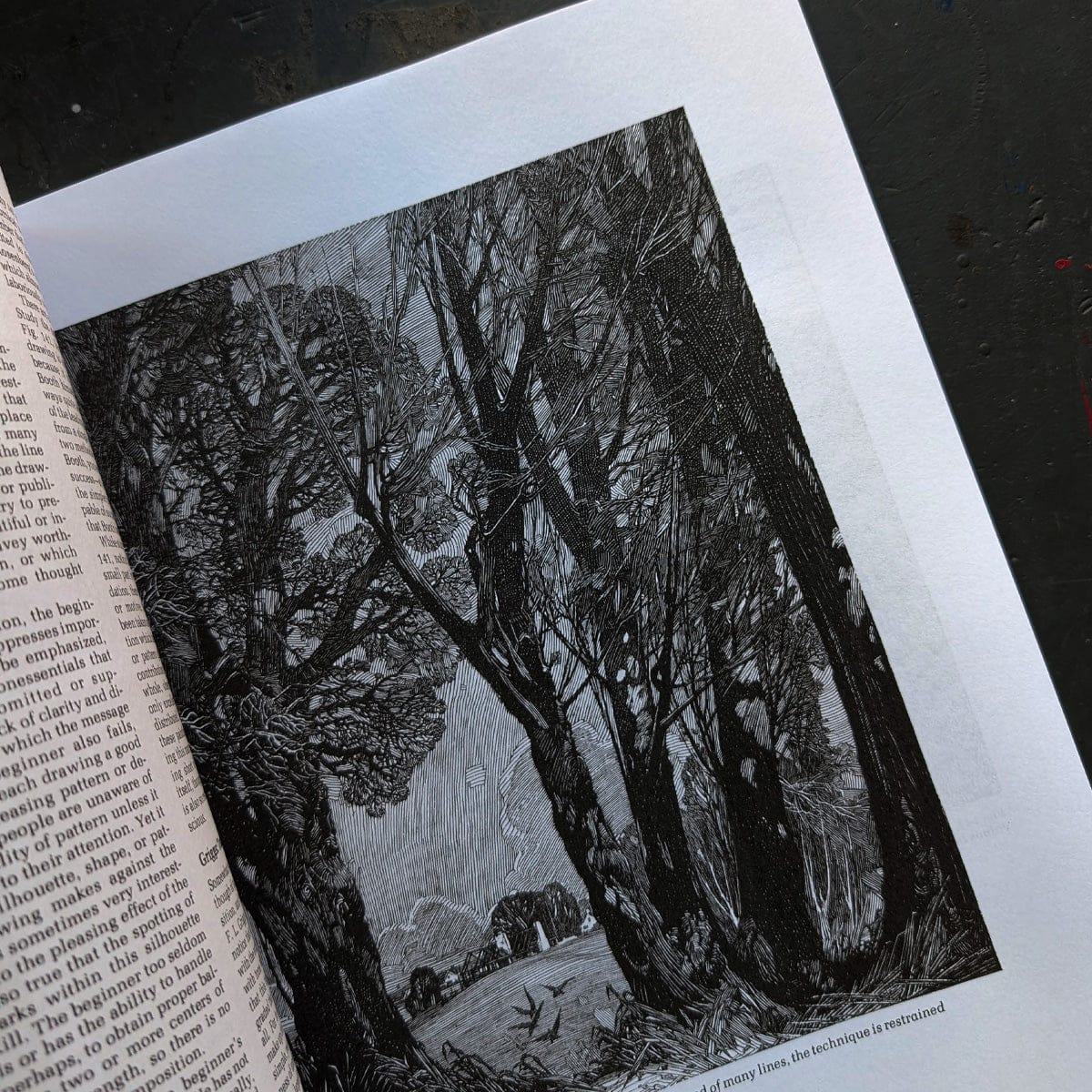 Rendering in Pen and Ink by Arthur L. Guptill - Image 4