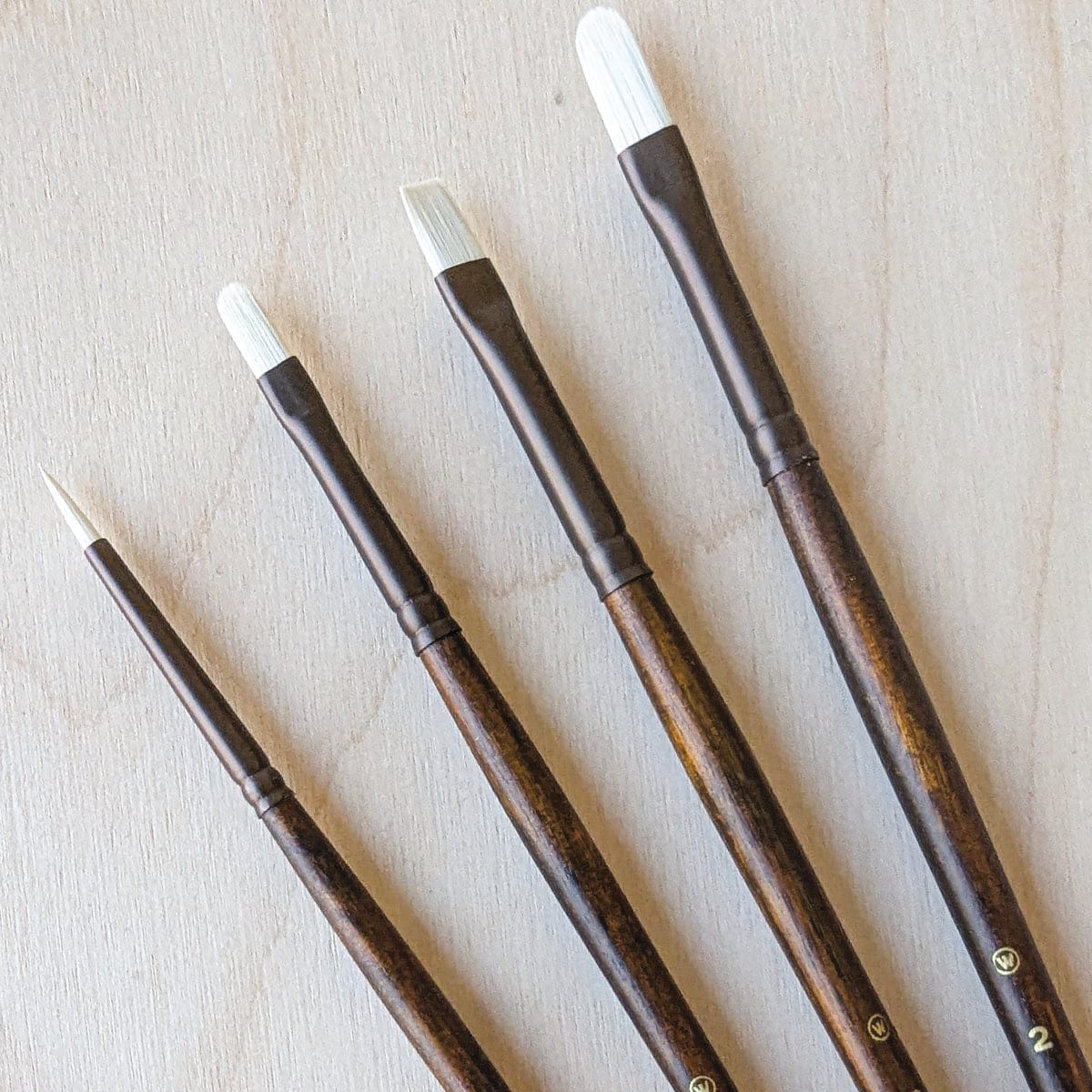 Willow Wolfe - Seneca Artist Brushes - Master Artist Series: Carla Grace - 4 Brush Set - Image 2