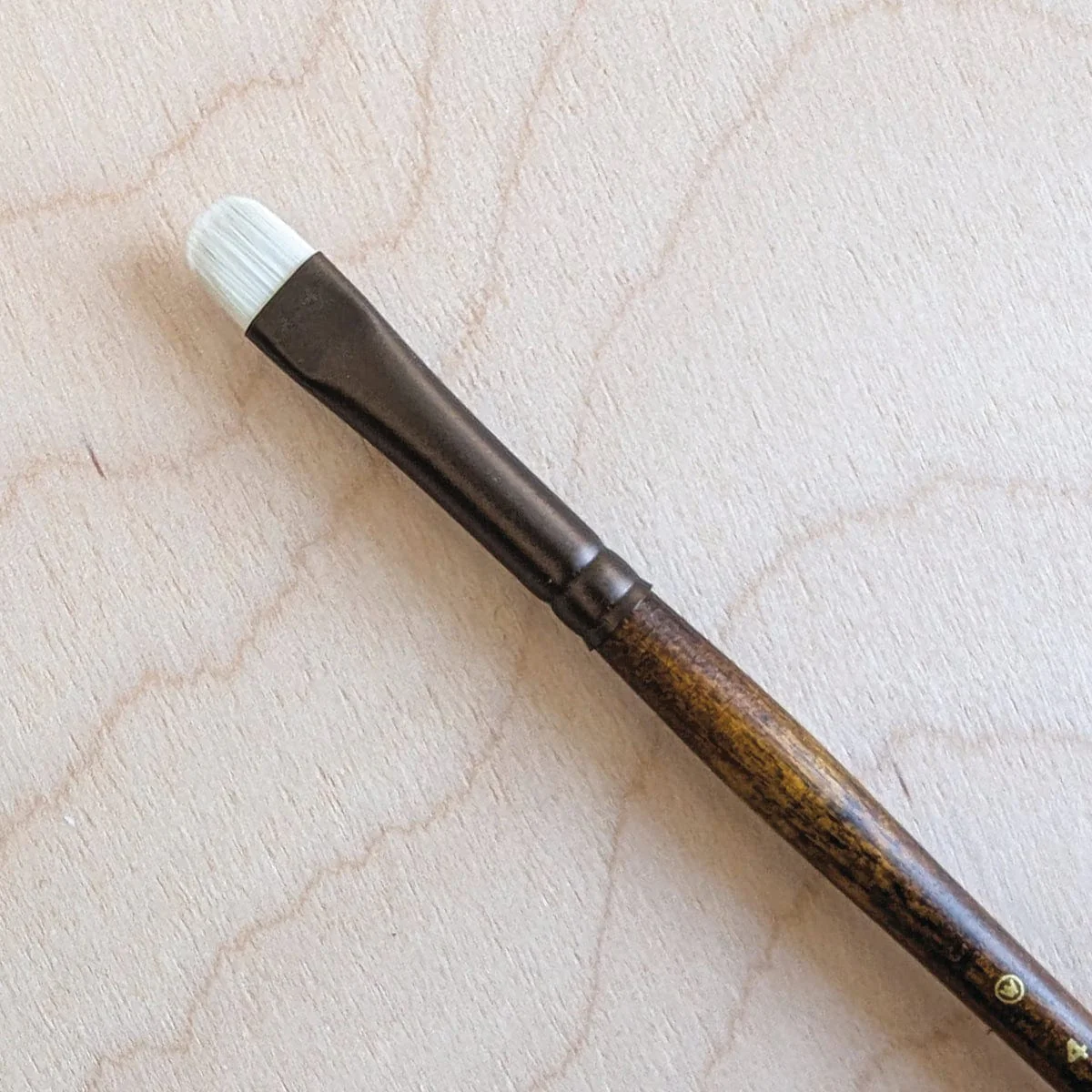 Willow Wolfe - Seneca Artist Brushes - Series 1700 - Short Filbert