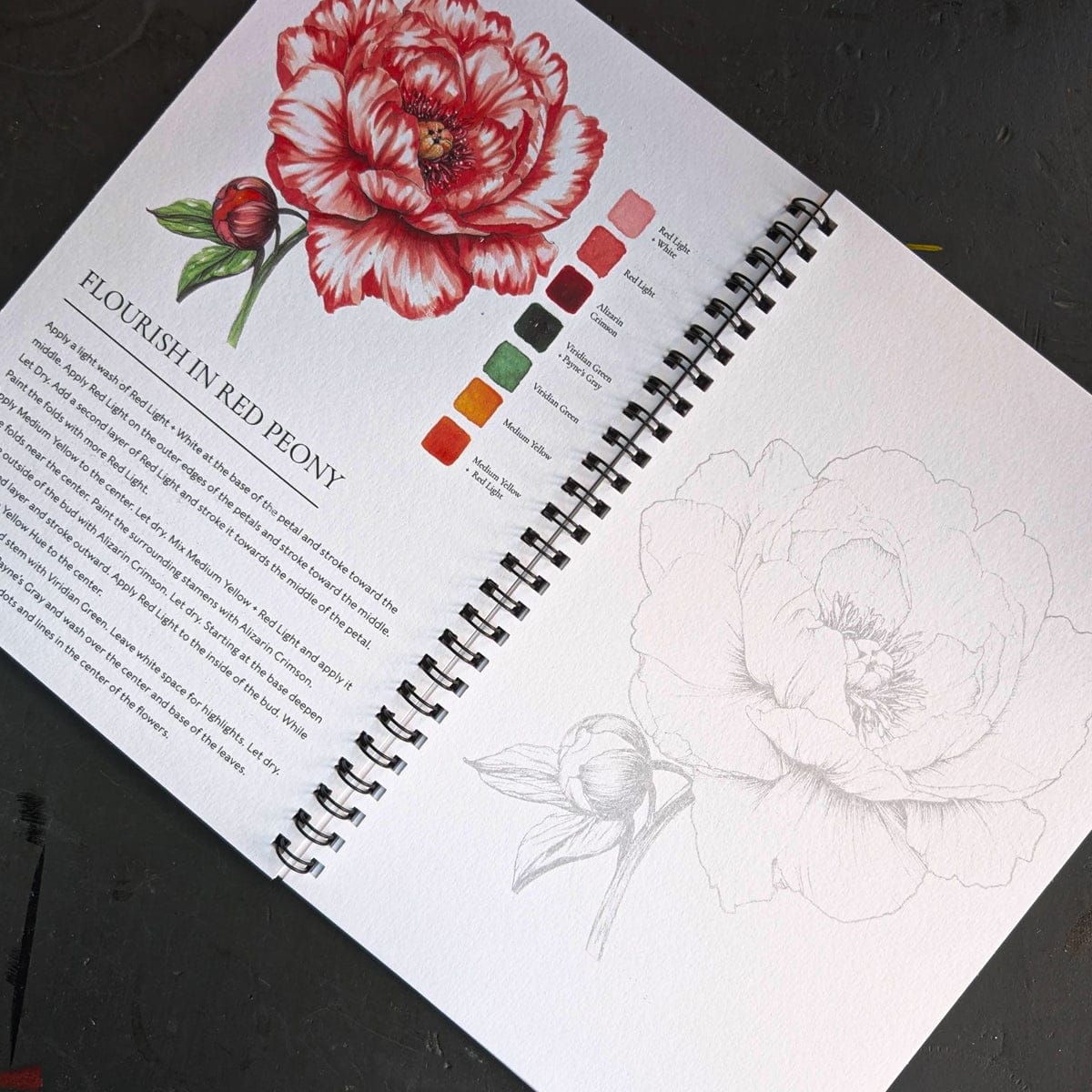 Willow Wolfe - Watercolor Painting Workbook - Bold Florals - Image 3