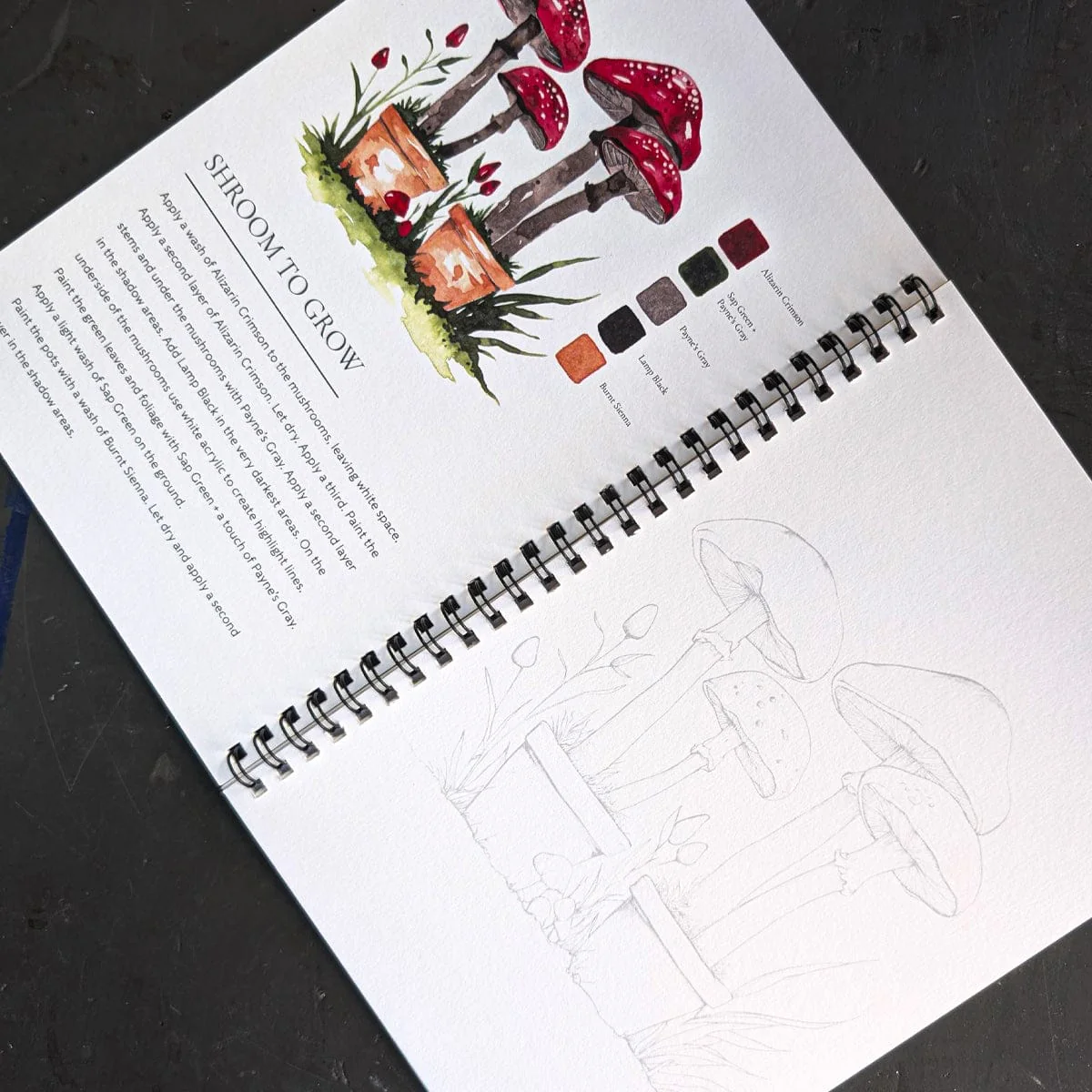 Willow Wolfe - Watercolor Painting Workbook - Fall into Color - Image 2