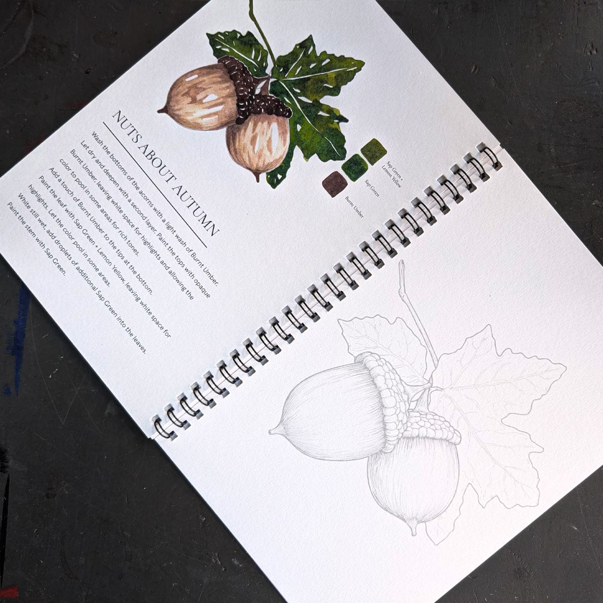 Willow Wolfe - Watercolor Painting Workbook - Fall into Color - Image 3