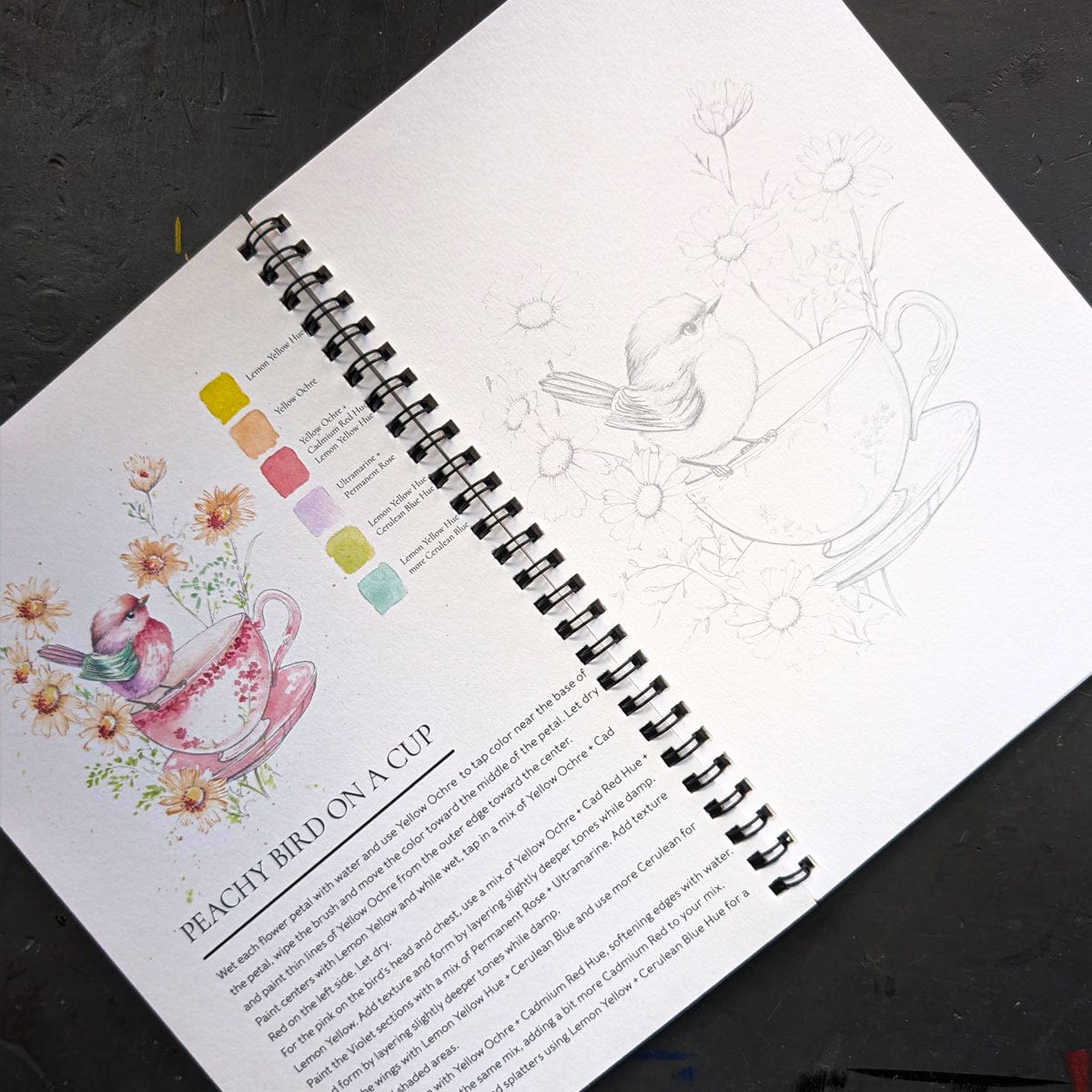 Willow Wolfe - Watercolor Painting Workbook - Feathers & Finery - Image 2