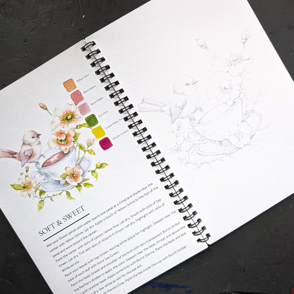 Willow Wolfe - Watercolor Painting Workbook - Feathers & Finery - Image 3