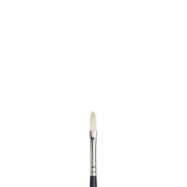 Winsor & Newton - Artists' Oil Brushes - Filbert