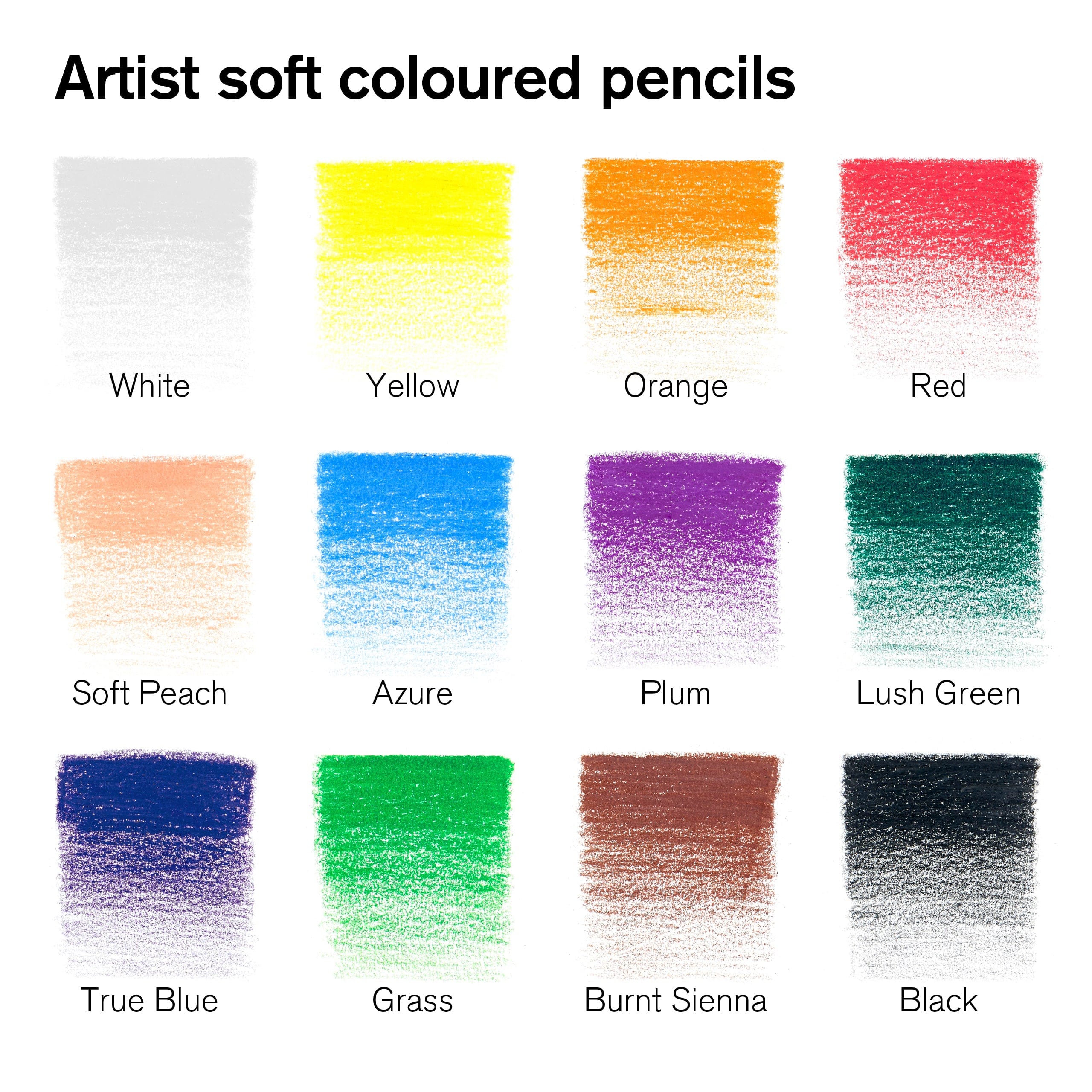 Winsor & Newton - Colour Pencils - Soft Thick-Core - 12 Colour Set - Image 3
