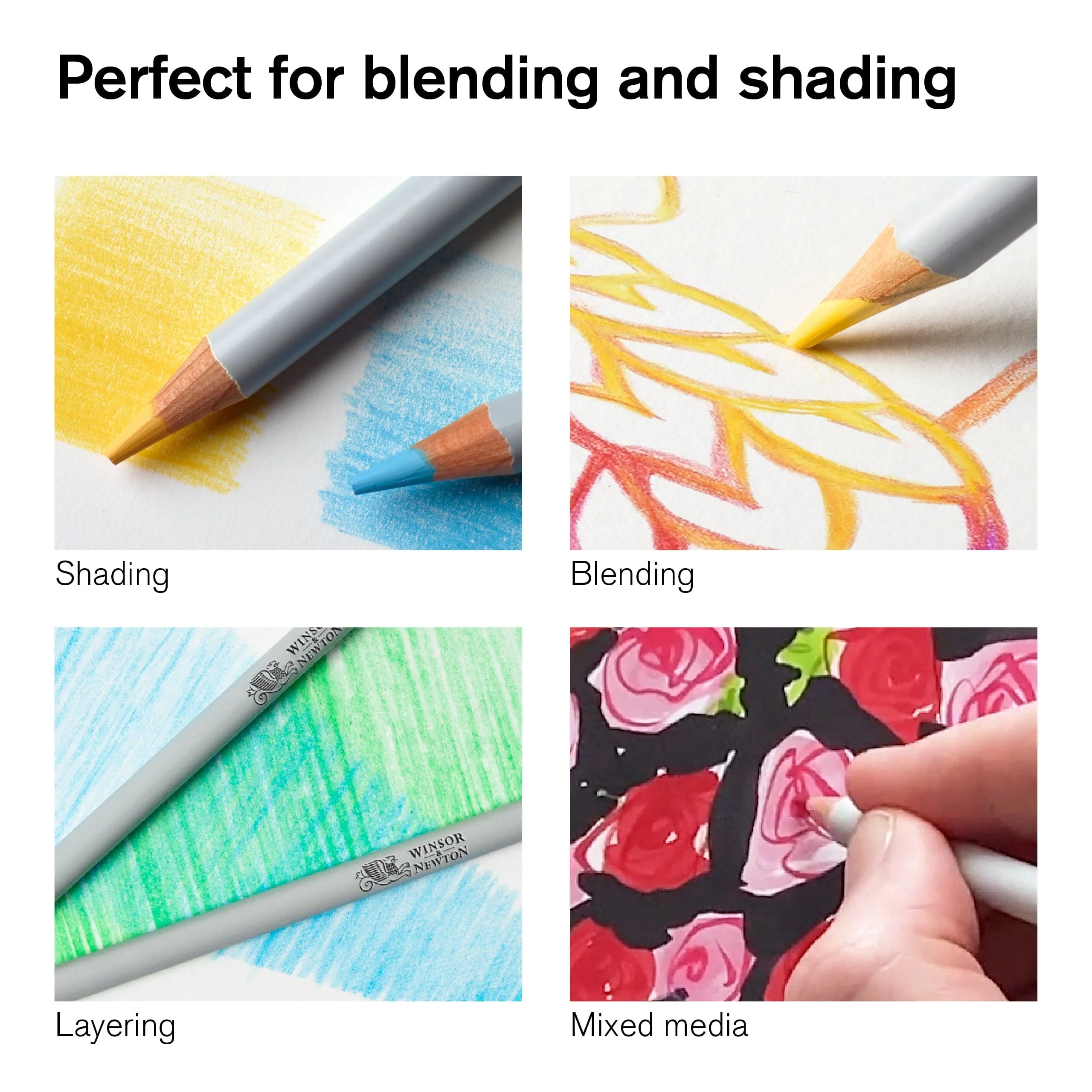 Winsor & Newton - Colour Pencils - Soft Thick-Core - 48 Colour Set - Image 4