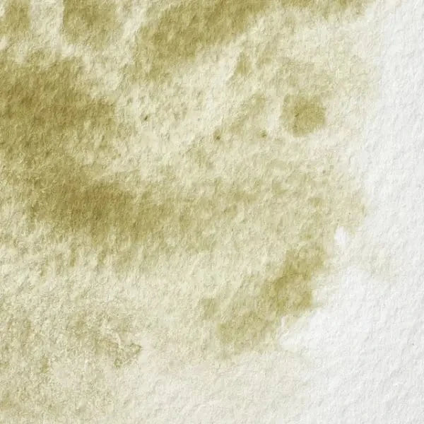 Winsor & Newton - Professional Watercolour - 5mL Tubes - Series 1 - Image 33