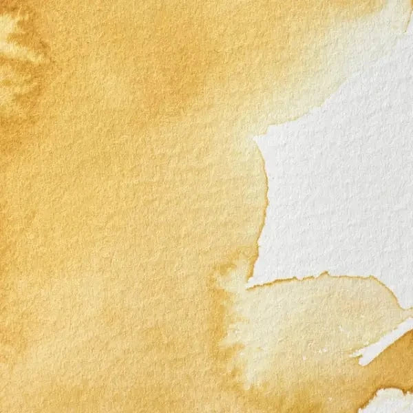 Winsor & Newton - Professional Watercolour - 5mL Tubes - Series 1 - Image 51