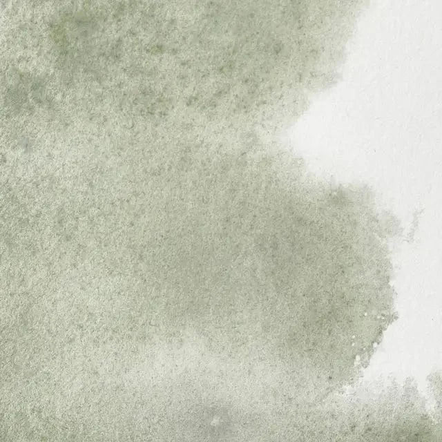 Winsor & Newton - Professional Watercolour - 5mL Tubes - Series 1 - Image 9